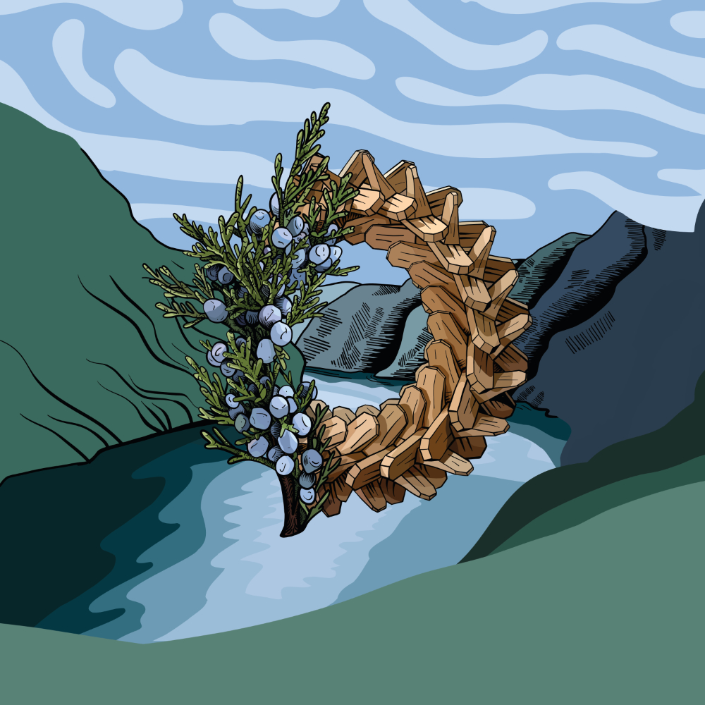 Aegir's Wreath Sahti