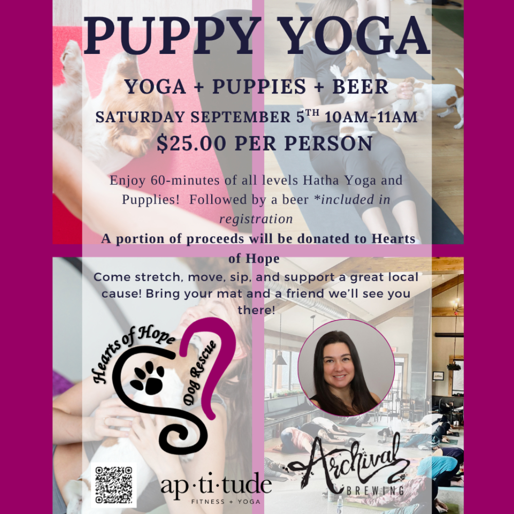 Puppy Yoga HOH + Aptitude